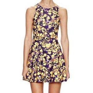 Poppylark Begonia Floral Neoprene Dress